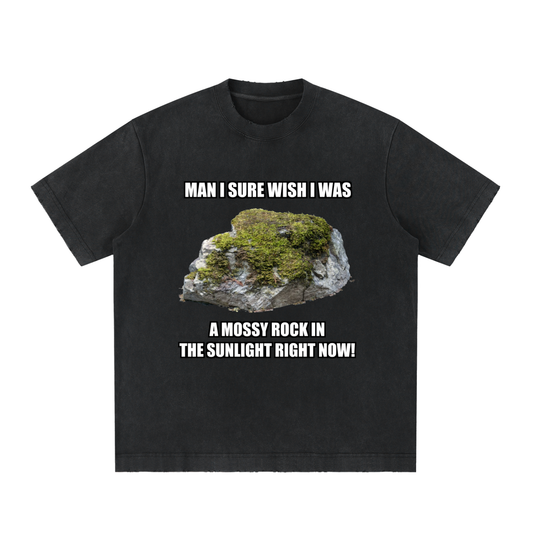 MAN I SURE WISH I WAS A MOSSY ROCK IN THE SUNLIGHT RIGHT NOW!